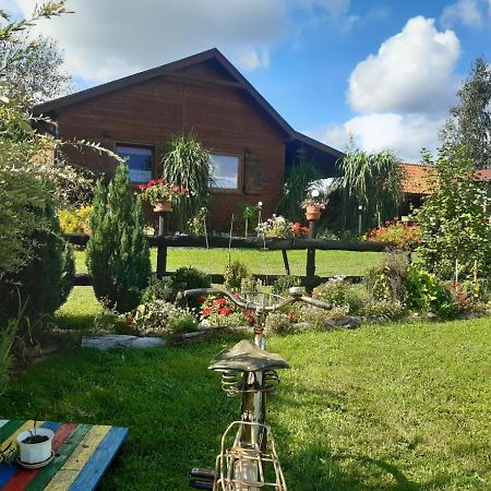 Domek W Kwiatach Zyndaki Dış mekan fotoğraf