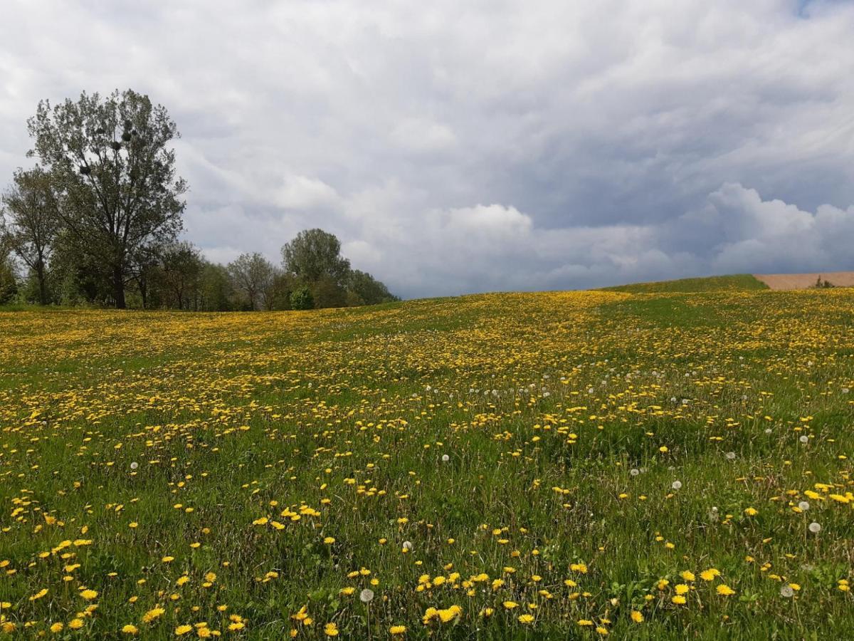 Domek W Kwiatach Zyndaki Dış mekan fotoğraf